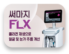 써마지FLX